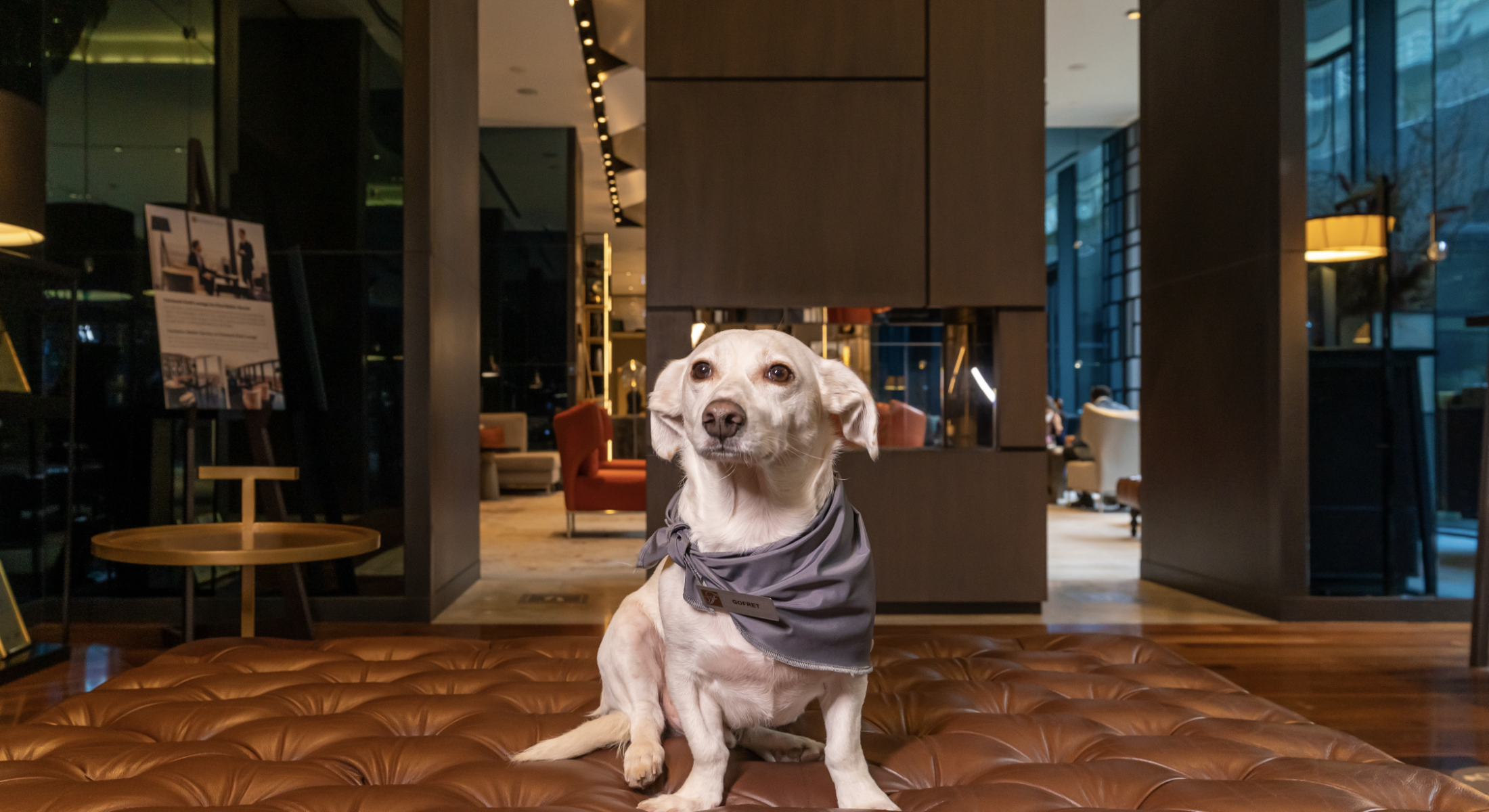 Screenshot-2026-01-26-at-14.34.49